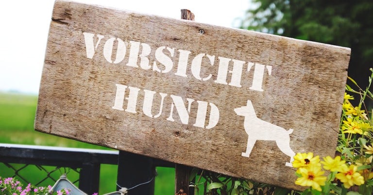 Die 3 Besten Warnschilder vor Hunden (2024) im Test!