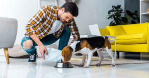 Die [anzahl] Besten Hypoallergenen Hundefutter ([year]) im Test!