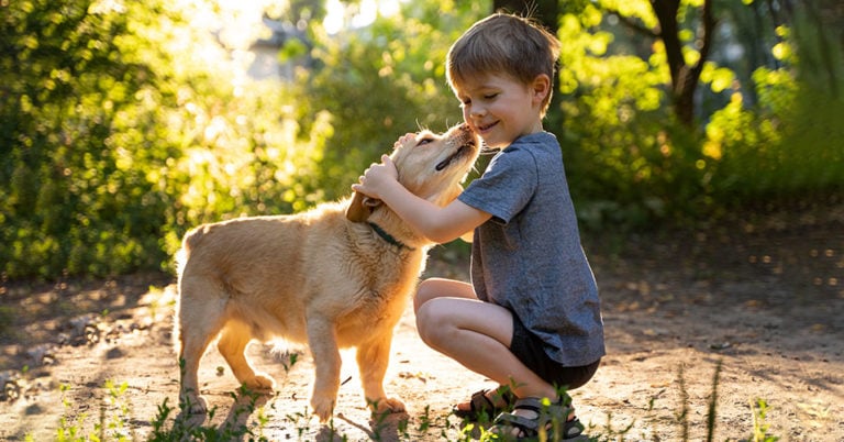 Die besten Familienhunde