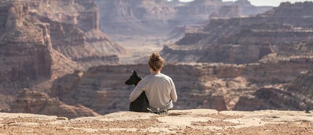 Wanderleine für Hunde