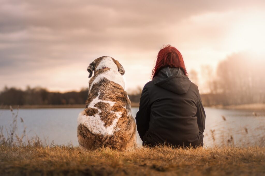 friends, animal, dog