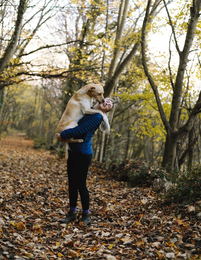 Hund sitzt auf dem Arm seiner Herrin