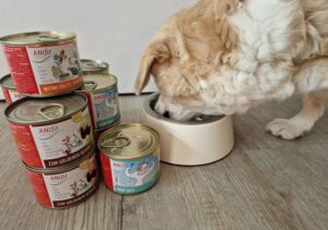Anifit Hundefutter Test