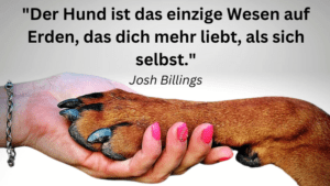 Hunde Spruch