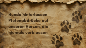 Spruch zum Tod eines Hundes