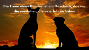 Zitate Hunde