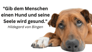 Zitate über Hunde
