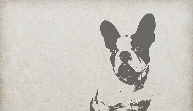 Hey Holy Hundefutter Test